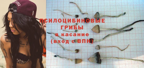 винт Краснослободск