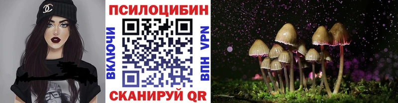 Купить Александровское Галлюциногенные грибы GOLDEN TEACHER